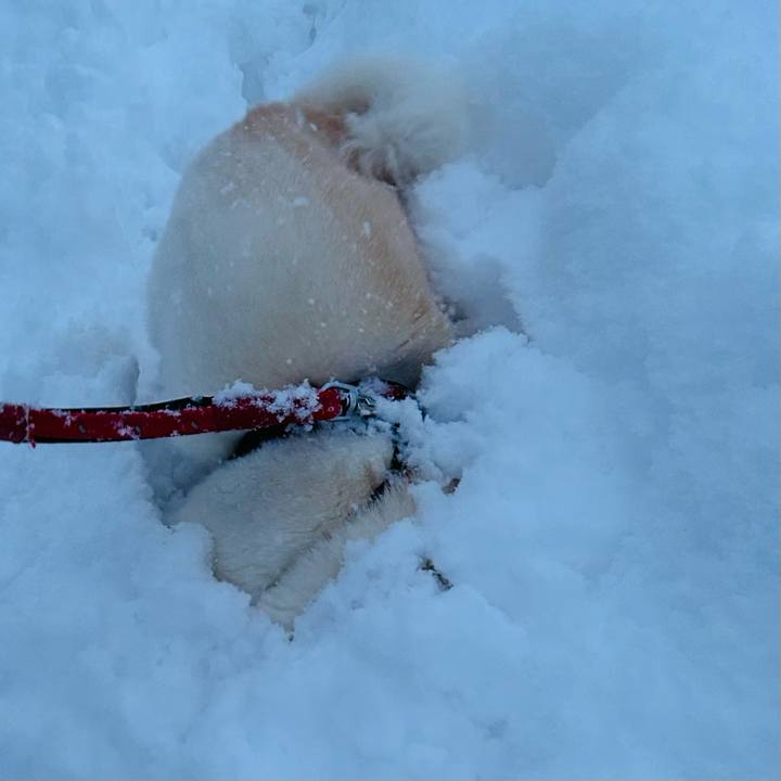 A215daba 9f0b 4323 af94 8e00989aea48 1765406187342