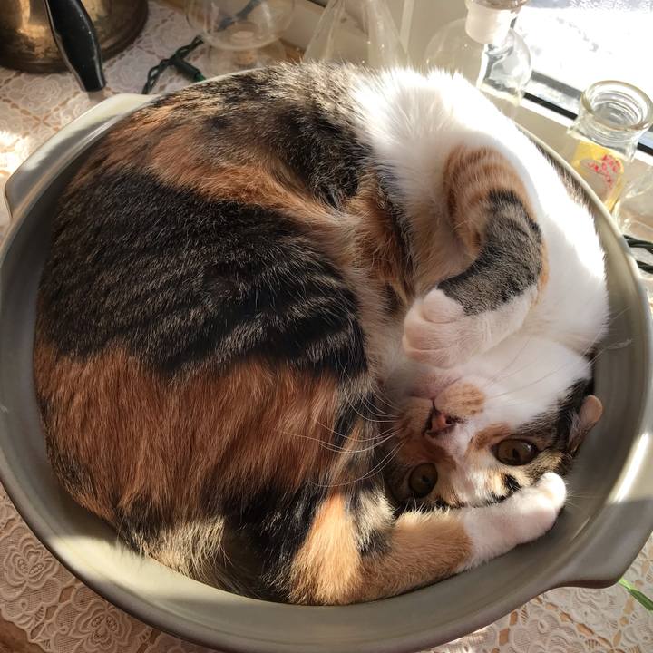 A215f609 33ec 44de a328 018506fb750b 1643514061789