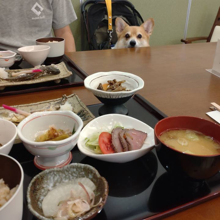 A2160f46 420d 4f5d 91c8 12f8129e7bed 1694873990541