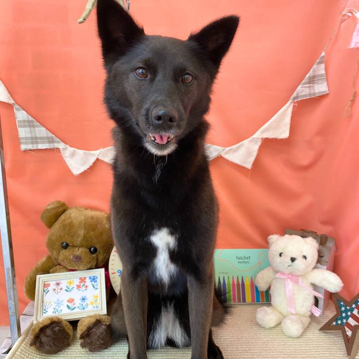 A2162558 e455 439f 9a60 634974246fd0 1639184172037