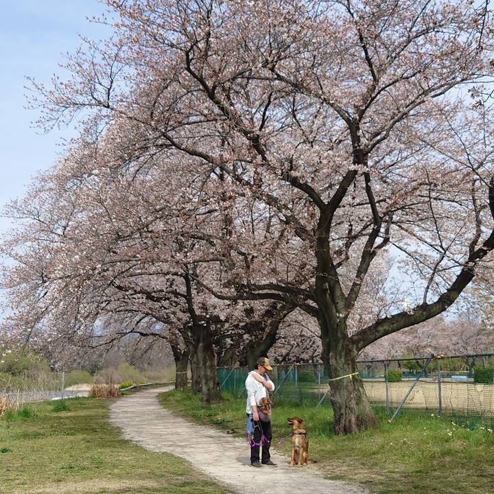 A2162cd8 03b2 4a54 846a 89d69cef601d 1712454880284