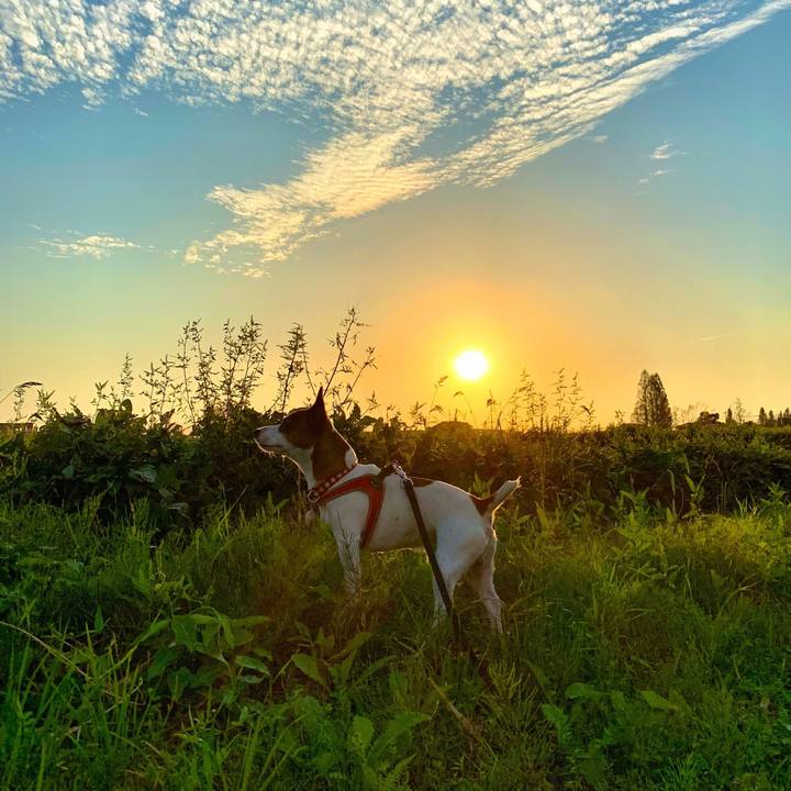 A2165c98 6ff6 4b47 bd7d fb24f128022c 1539080614775