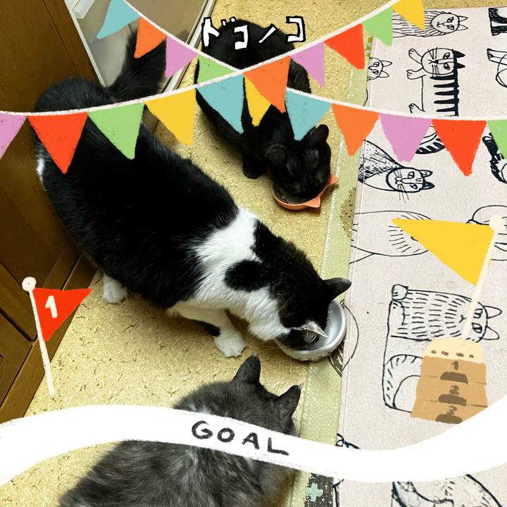 A2165f24 dbab 4353 bad1 378e79f18ab5 1730033730834