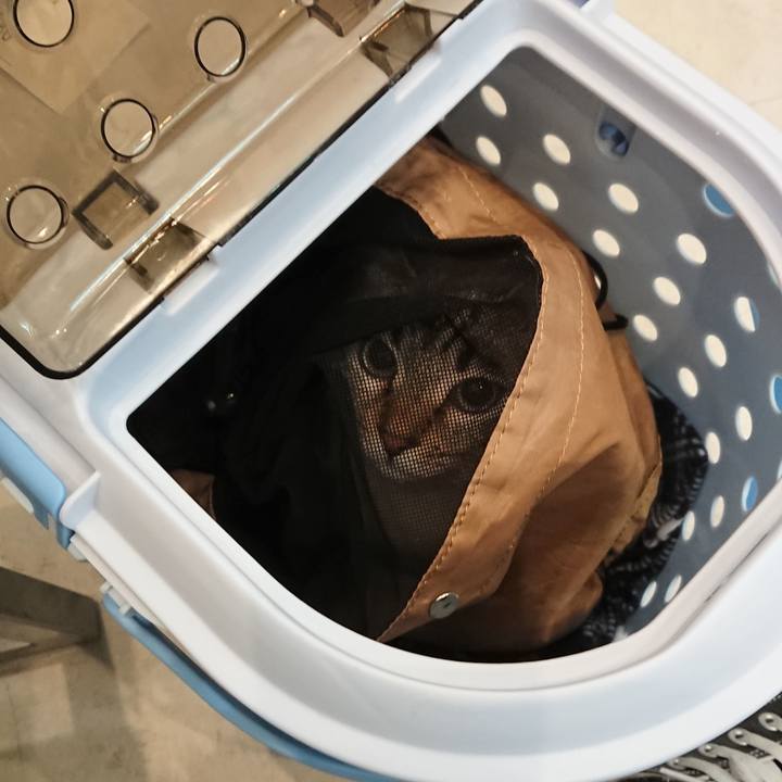 A2169b62 81b5 45ea a492 40de61644921 1518838699937