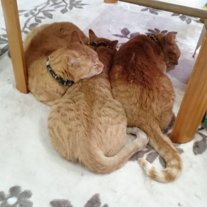 A2169c53 31ba 45f8 b7d1 c49816a76cd8 1580294590545