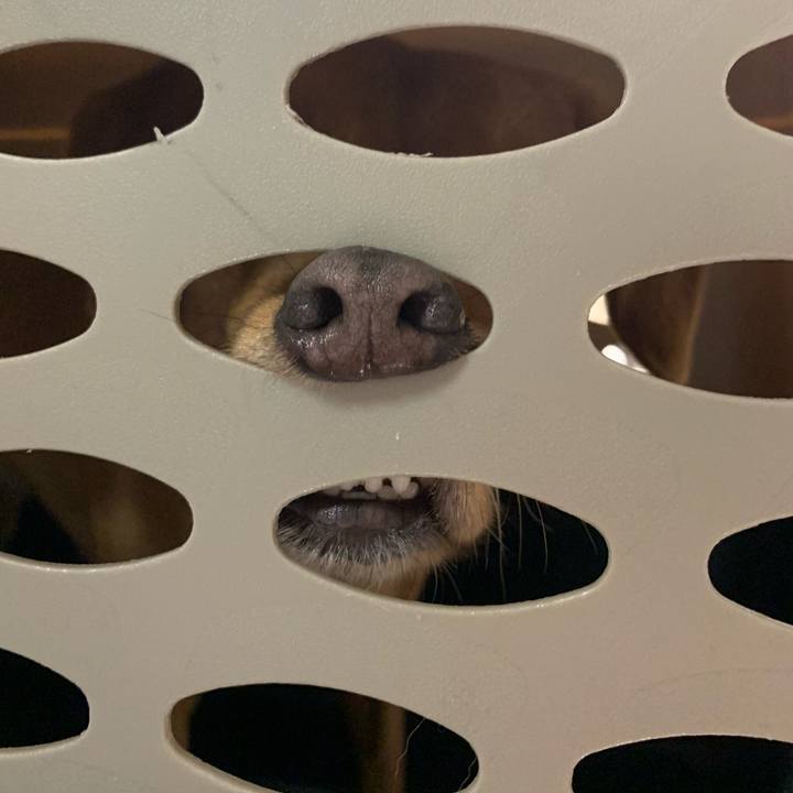 A2169f54 7dde 4e2e a47d 96fac5040db4 1576273786067