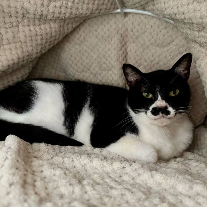 A216f79a 4a19 420a 997e bf4991393173 1749514668555