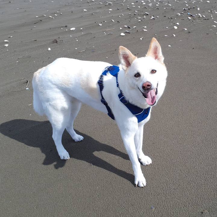 A217454e a9b1 4132 8597 22951b4d4393 1685991911746