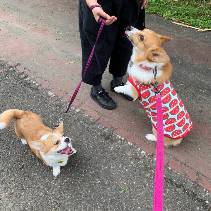 A217456c 3d48 491e b634 ffb2163e37b2 1562584401779