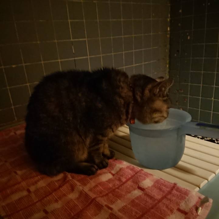 A2175dec f6e8 41c7 8c7f 410d2559f8d6 1580551028026