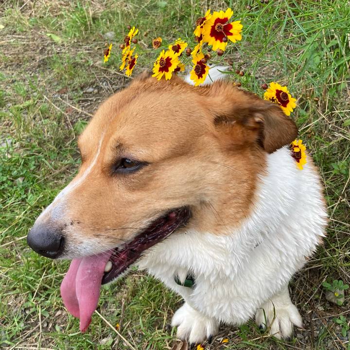 A217a51d 6538 4eda bb32 16ad6981fd1c 1719445614970