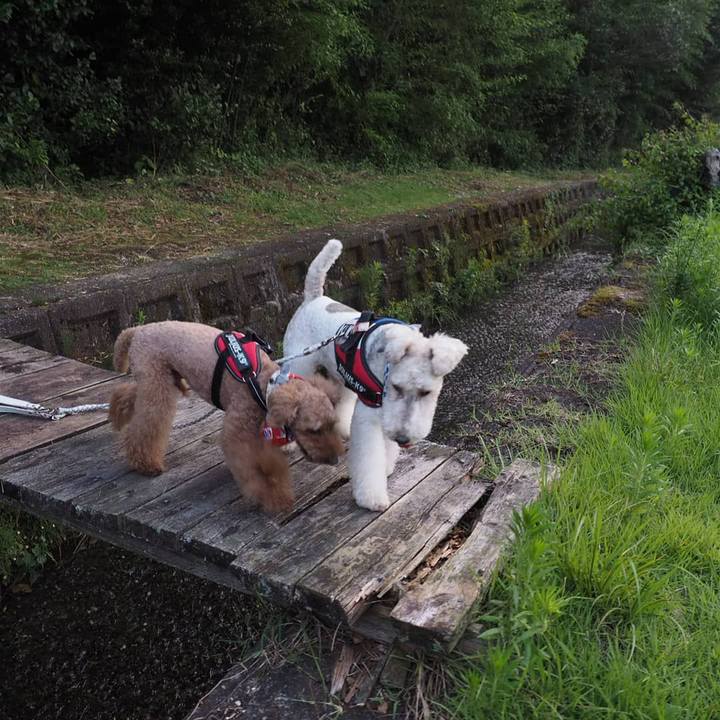 A217a7bb 4344 4090 996a aa703728907e 1564526496581