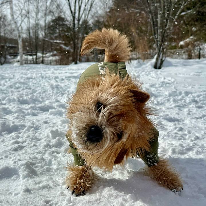 A217dd36 8279 4a12 8b54 f5fb13253925 1738312098500