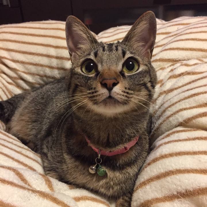 A217dd62 ae9a 4870 bac0 d76761cc773f 1527168251314