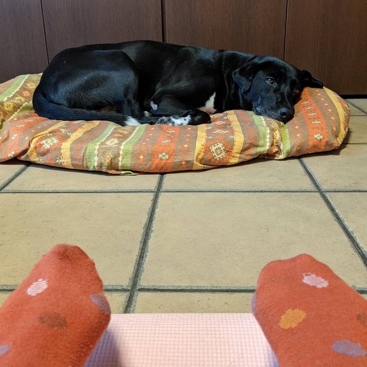 A2181c46 68f6 4fb3 90f9 fd104fa7b59c 1630664503537