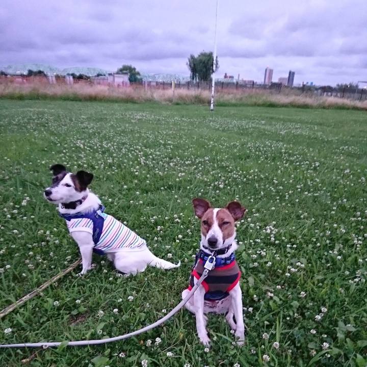 A218313a 5828 4332 b89c e7750833b987 1529153042225