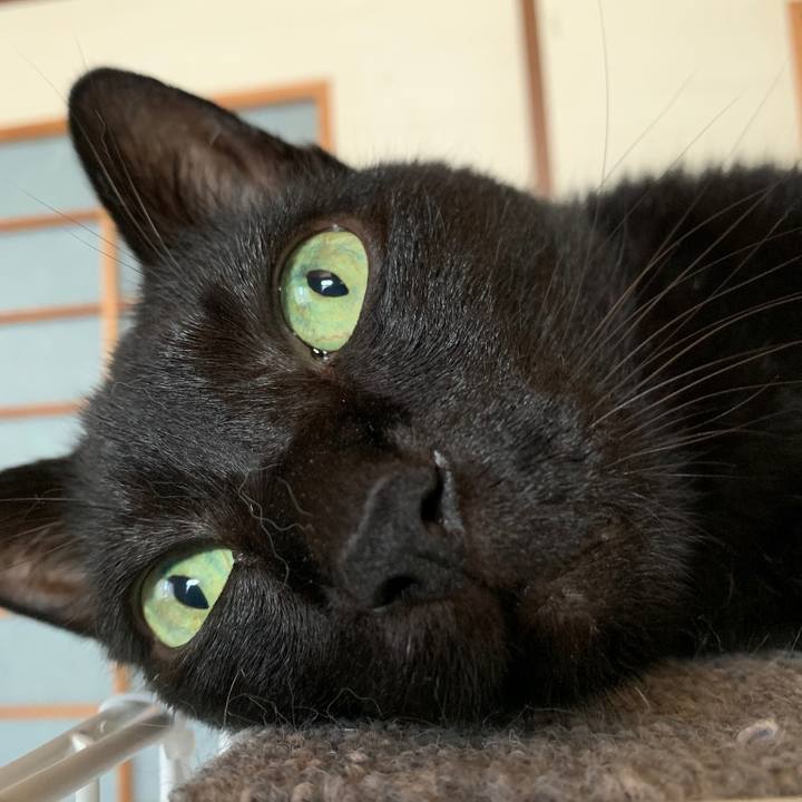 A2185418 42f8 4f22 8864 af03d7b225ae 1569028228085