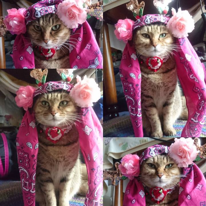 A2187eda c45c 4518 b4e2 caf7da1c7c80 1765412467218