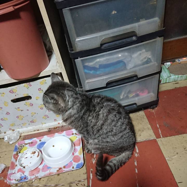 A218967b 0c65 4081 9a39 2786b2bcb602 1572896593808