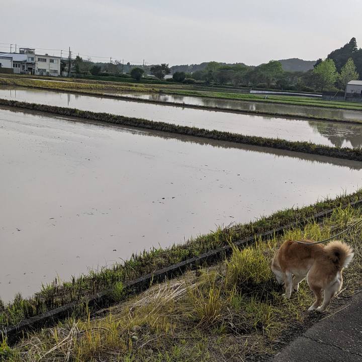 A218a2ea 2e18 49fd 9b73 004a8e44527e 1713359072054