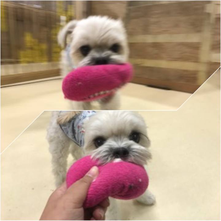 A218ad93 3cd5 4f9e afa5 42a06854fd64 1513249787392