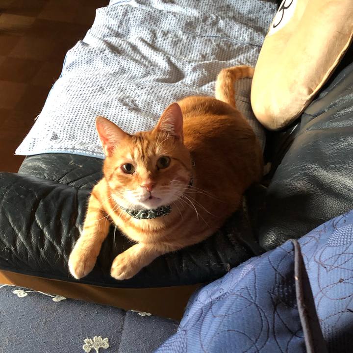 A2191100 2658 4014 9e9b 23d6bc81e36c 1559037054659