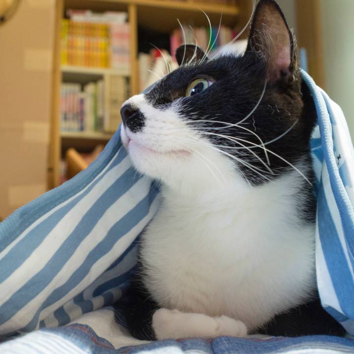 A21941ce 337a 48dc b08e c0681700a0a7 1531870843572