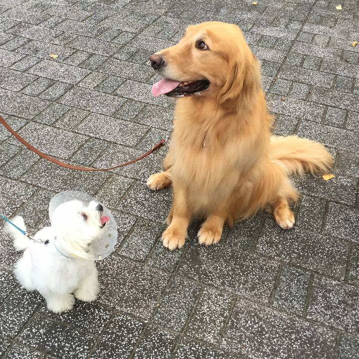 A219a791 730d 4c0d 8e10 359e29dcb45e 1581551287250