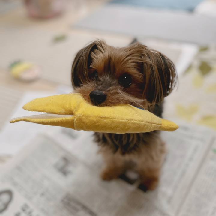 A219fb2c 34d0 4c5b af6c 15daebff957b 1646887778687