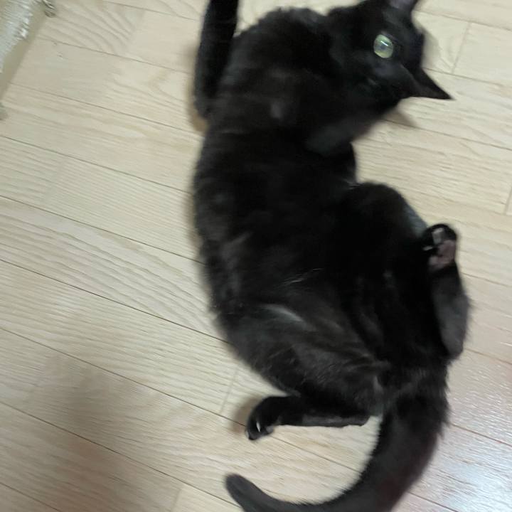 A21a4a1c baa7 4557 9ed9 b25f34fbd01a 1774088954096