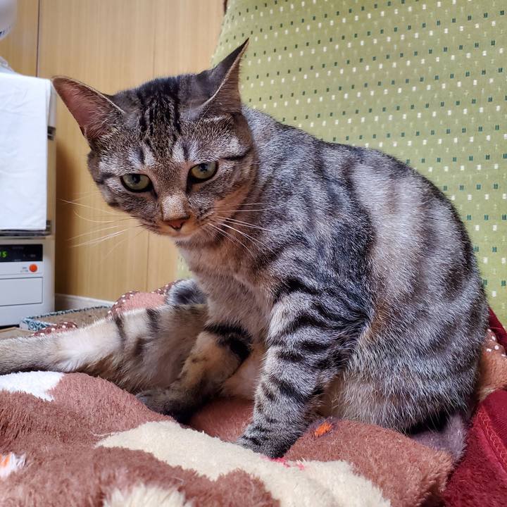 A21a5517 161a 497b a444 2516836f5936 1694070888927