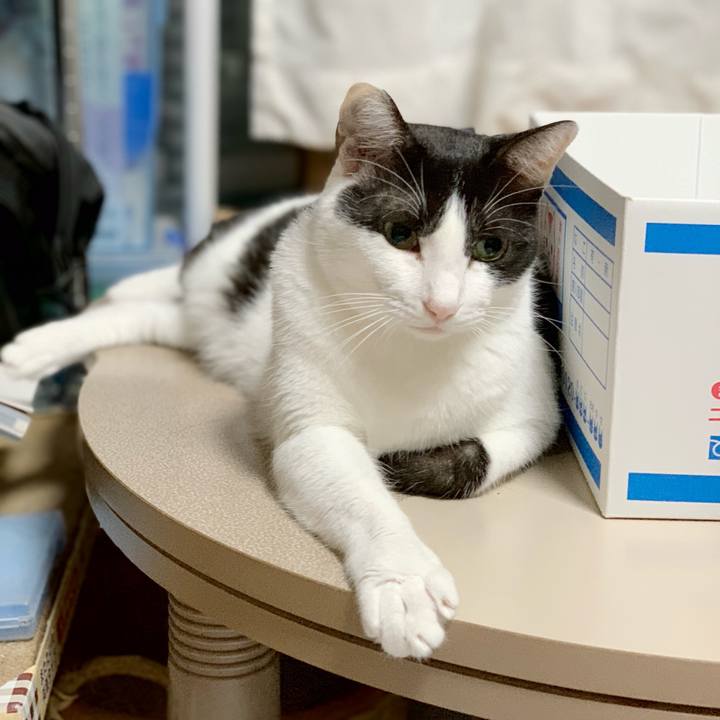 A21a7eac ffdf 4823 81b7 411fbf82985a 1538616327276