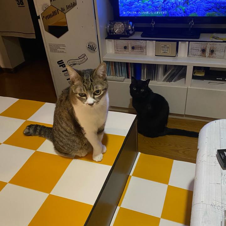 A21add34 ef55 44fa 91a1 4f30ba5cfa13 1686380003137