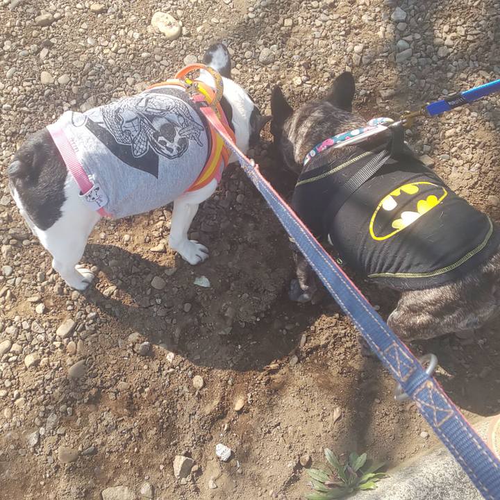 A21afcd2 020b 4ab7 aae5 7a6e7a23143a 1677189772415