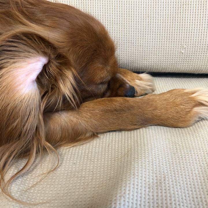 A21afdd6 ba03 40c5 bc35 7aad39a9e926 1532953079169