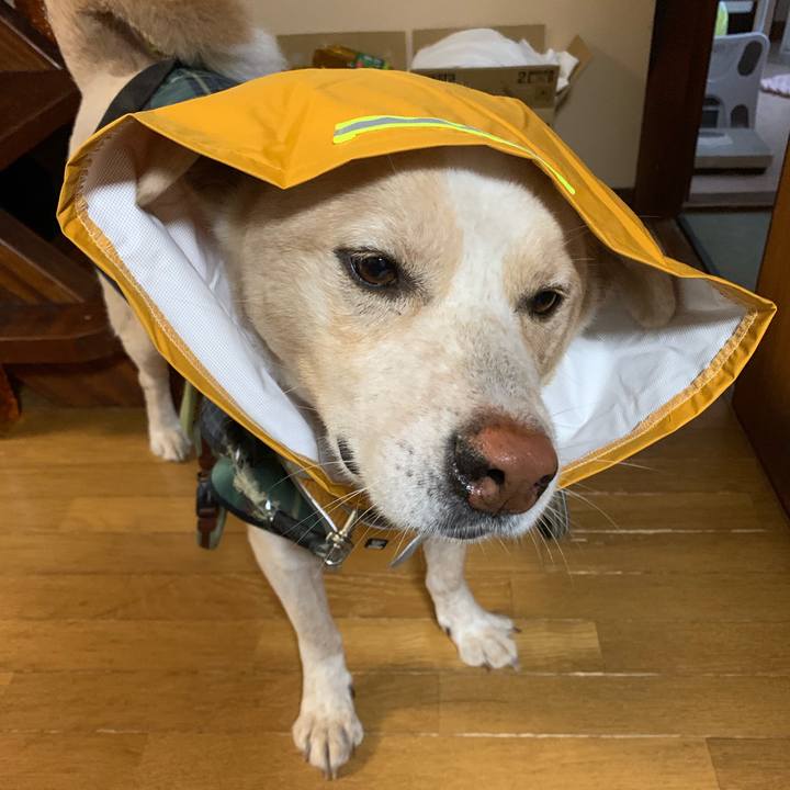 A21b1f75 3bcd 4bc4 8bc4 f2e5efa7aea9 1561984144217