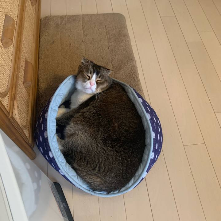 A21b32a3 eecf 41e6 b85f f6fefb0b16e5 1618198873352