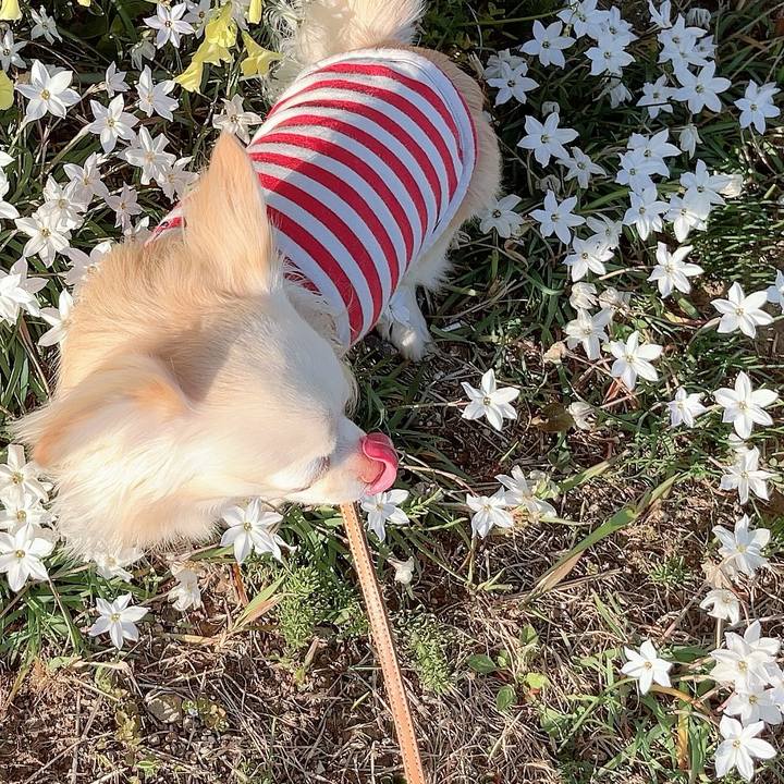 A21b41e9 3fdc 4ba0 a60f 11ba5f6bc6c1 1711099020730