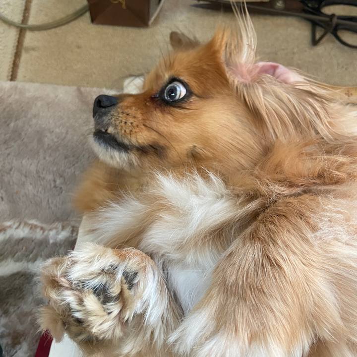 A21b4867 076a 4605 b7ee 3727895be13f 1646176293810