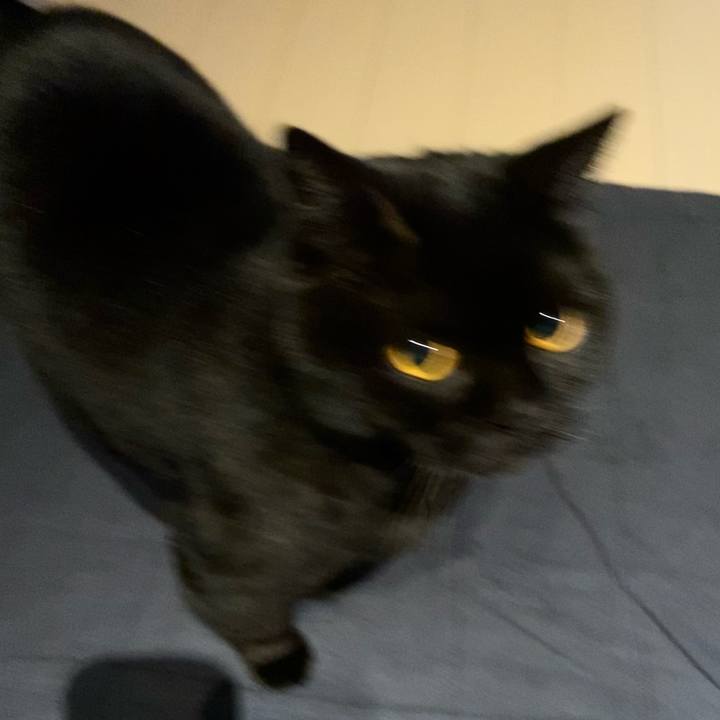 A21b6484 3fc0 4f74 af1b e3b70fb01563 1742295008257