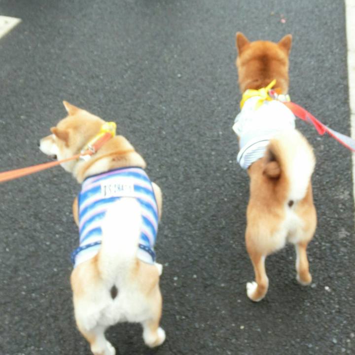 A21b93c9 4303 4ac1 a2a4 d41857a355f8 1560095756760