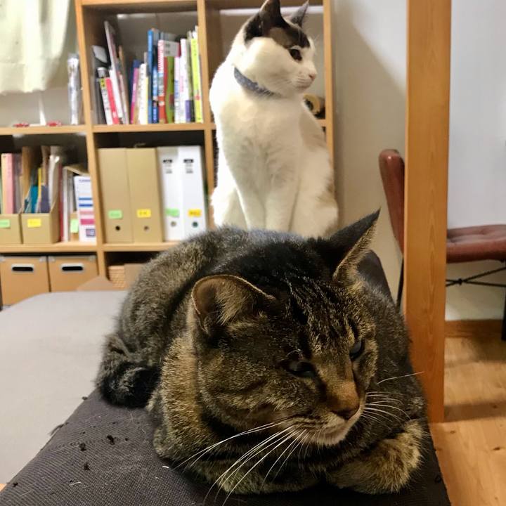 A21bf6d0 dd9f 4f96 822e 0b7f150047f1 1613224541533