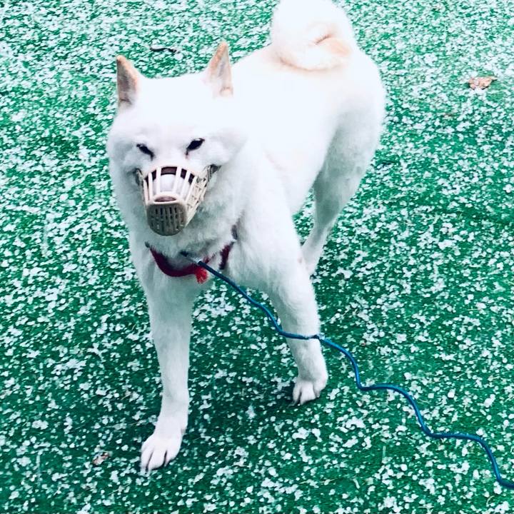 A21bf94f 430a 410f 9507 345cdc7f34fd 1604891912320