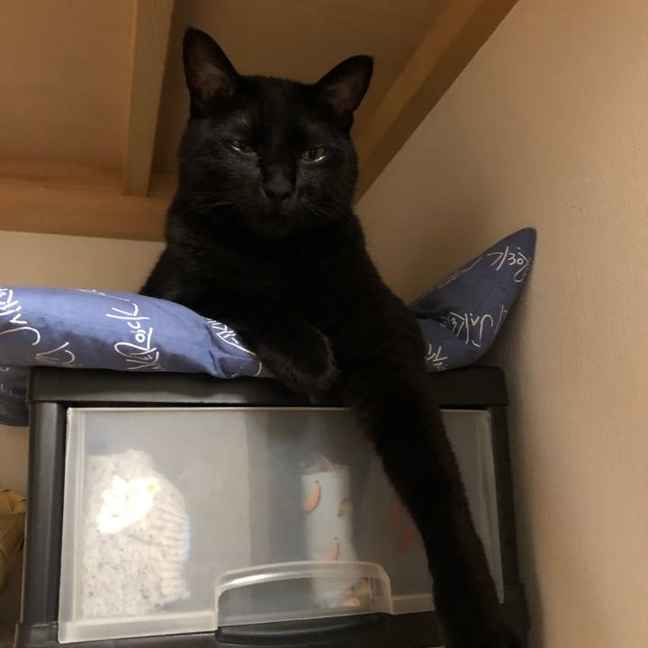 A21c5245 314b 4610 8f85 7fba652be82d 1563193231706