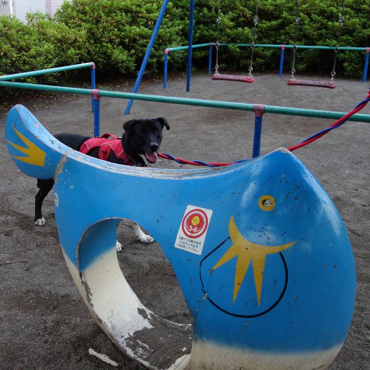 A21c75a2 cd81 4122 9627 cc940fd635c3 1593945326825