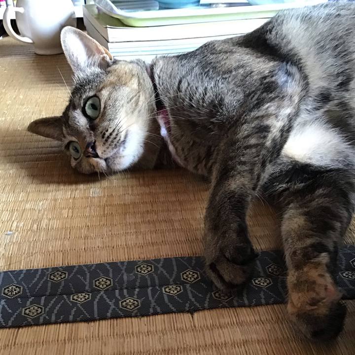 A21c7c0d 72b9 4cb0 ba5d 645027b7ce1a 1597725523005