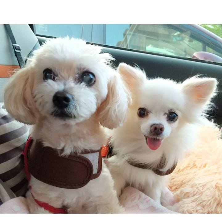 A21c8c38 f049 45e4 b7aa 1c0905db2d5c 1685539802336