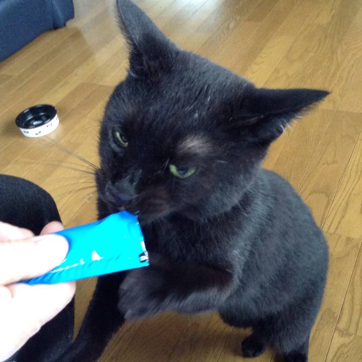 A21cbbb7 88c8 4b72 a3bc 51805875ac09 1534637471859