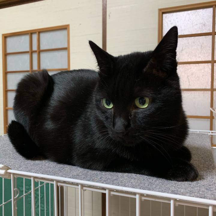 A21cf0c6 461d 453c 809e b202e69f22bf 1545867907703