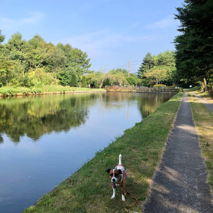 A21d152b 44e5 41ec 90ef c976d0ef1820 1597963628278